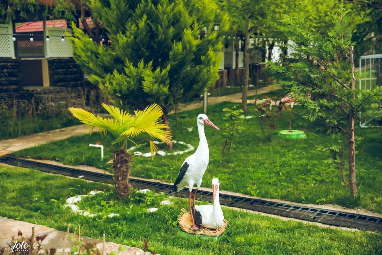 Su Sesi Hotel&Restorant Goygol Exteriör bild